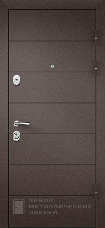 Фото «Дверь с зеркалом №58» в Бронницам